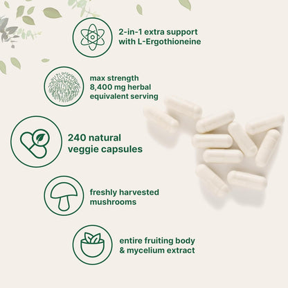 Micro Ingredients Lions Mane with L-Ergothioneine