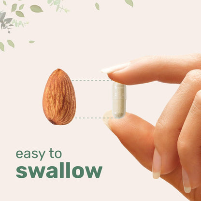 Micro Ingredients Lions Mane with L-Ergothioneine